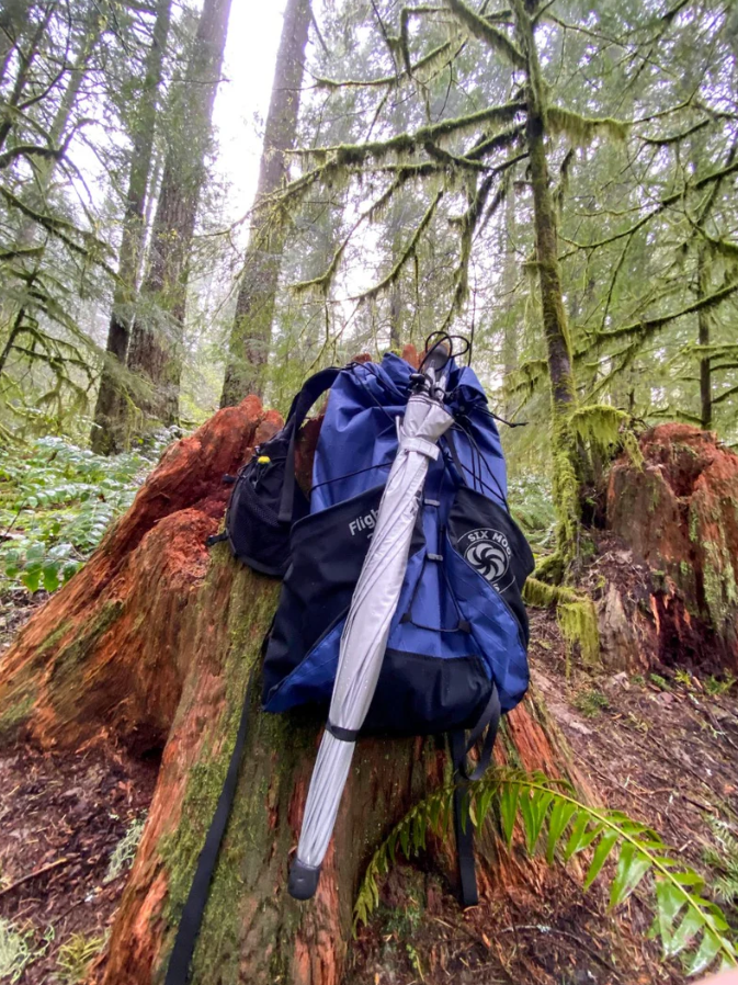 Six Moon Designs Silver Shadow Carbon Trekking Umbrella